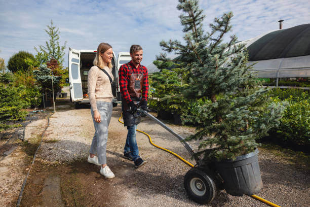 Best Tree Care Services  in Vado, NM